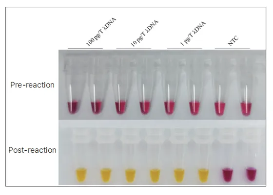 bioeasy-lamp-kit-visual-dye-detail-2.jpg