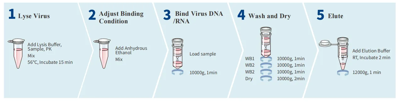 biospin-virus-dna-rna-extraction-kit-detail-1.jpg