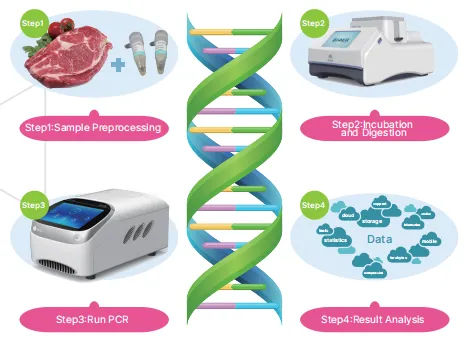 bovine-derived-nucleic-acid-detection-kit-fluorescence-pcr-detail-2.jpg