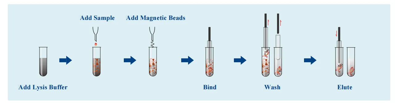 magabio-ffpe-tissue-genomic-dna-purification-kit-detail-1.jpg