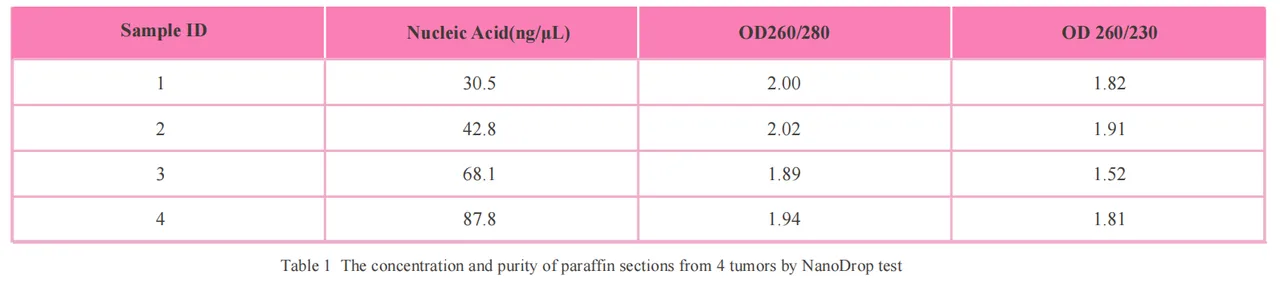 magabio-ffpe-tissue-genomic-dna-purification-kit-detail-2.png