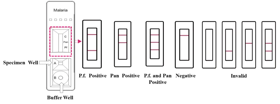 malaria-p-f-pan-antigen-rapid-test-kit-colloidal-gold-method-detail-1.png